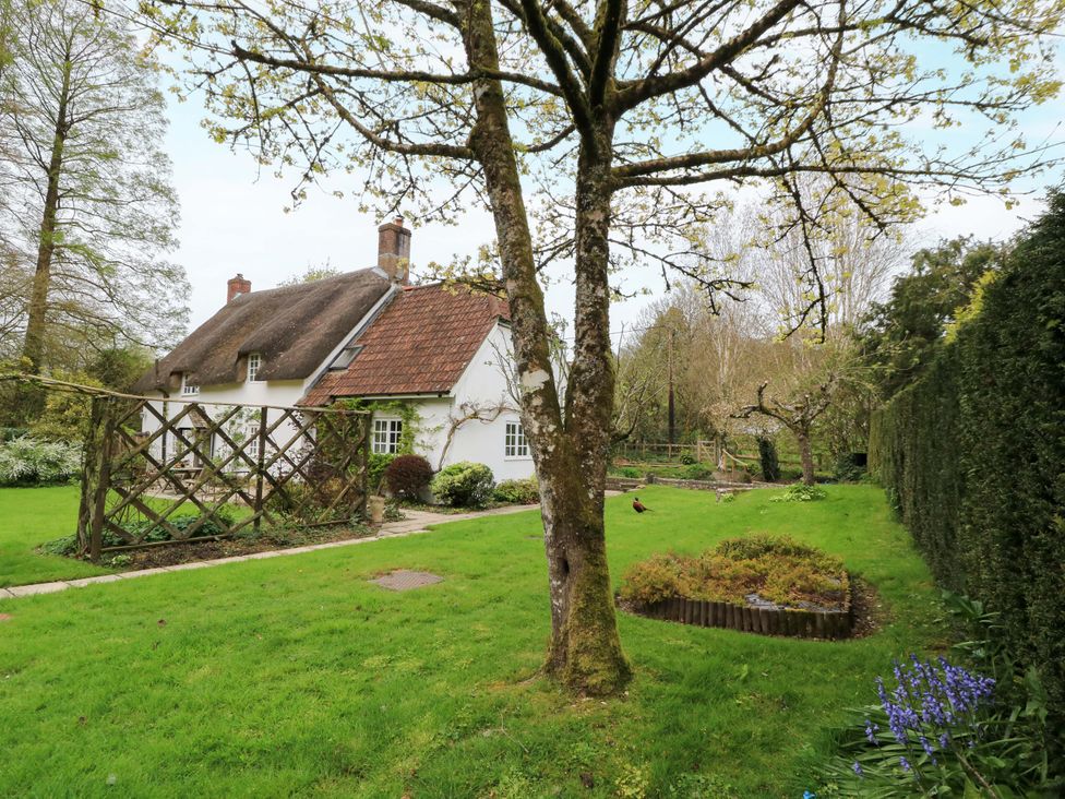 A garden with a house and trees at Plush Cottage in Plush