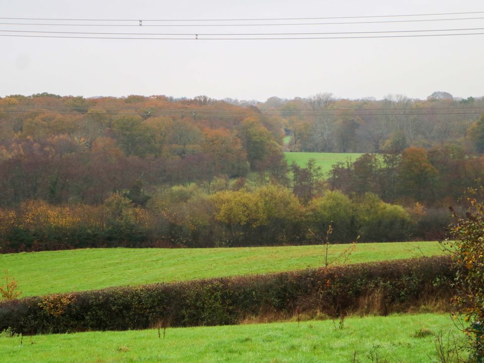A view of fields and trees in the countryside at Annex North Chailey near Newick