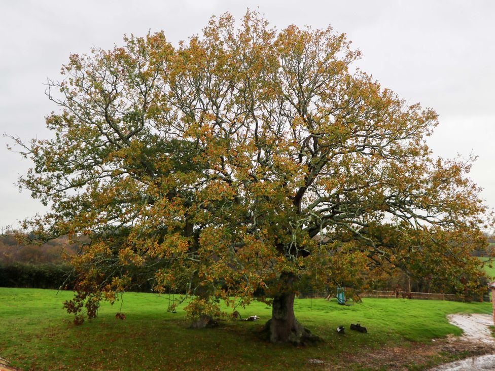 Red House Common View -  - 1184381 - thumbnail photo 13