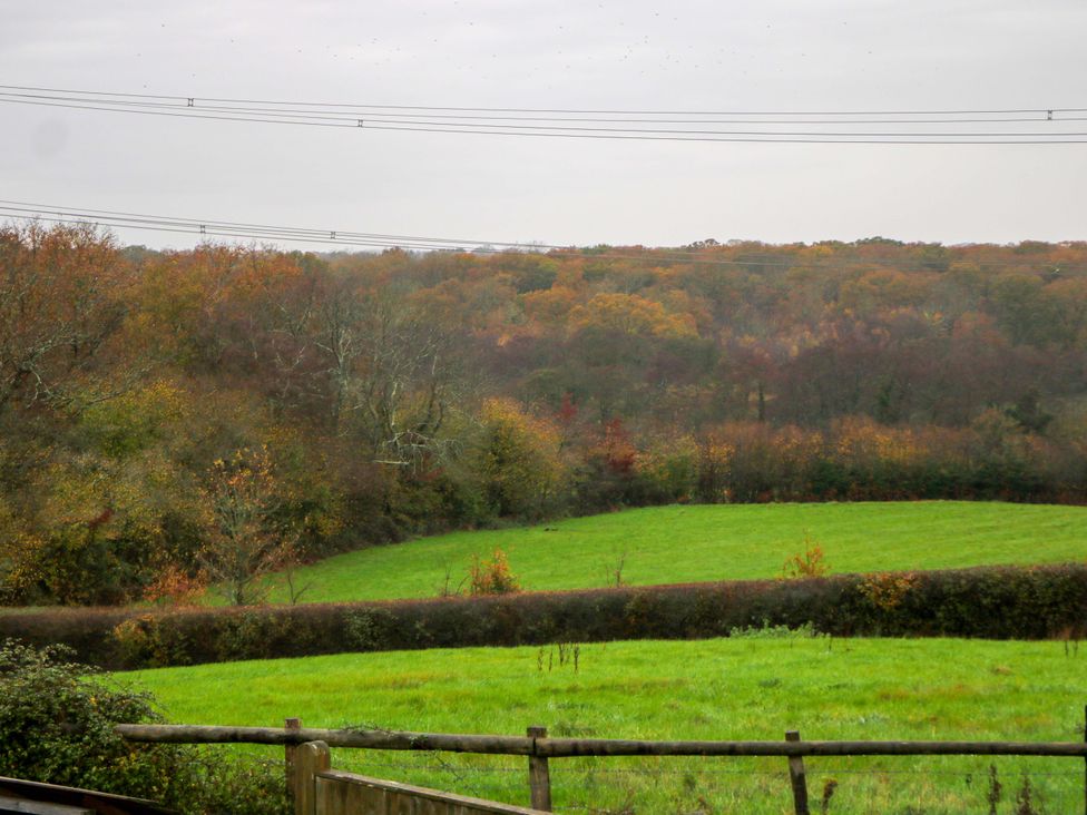 A view of a green field and trees at Annex in North Chailey near Newick