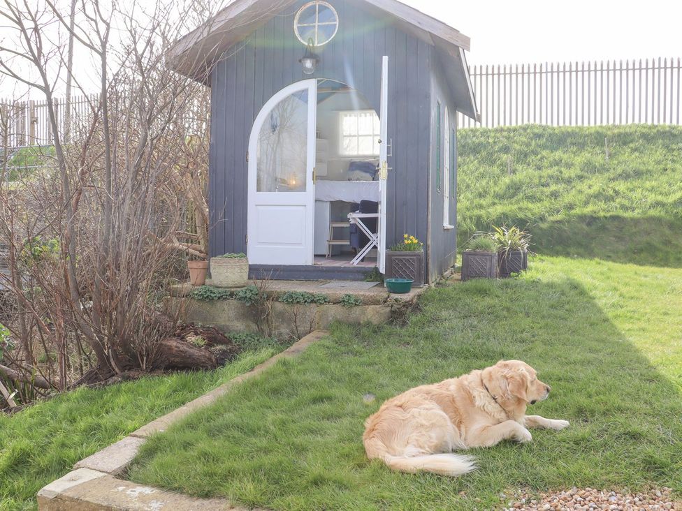 A garden with a shed and a dog at Greengates in Rye