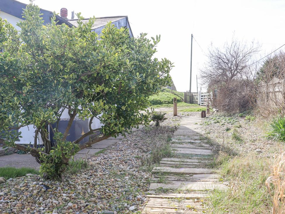 A garden with a wooden path and tree at Greengates in Rye