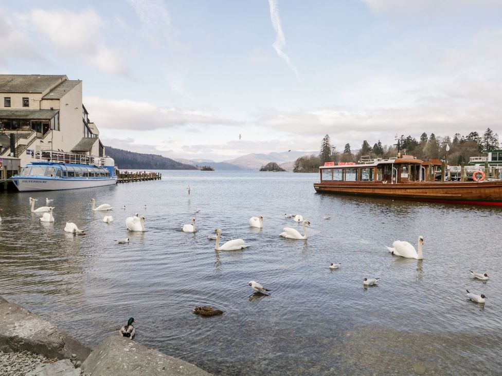 A lake view with swans and boats at The Burrow in Windermere