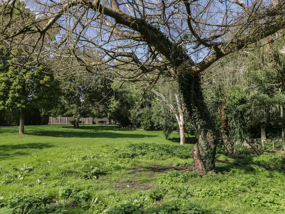 A green field with trees and a fence at Willow Cottage in Whiteparish