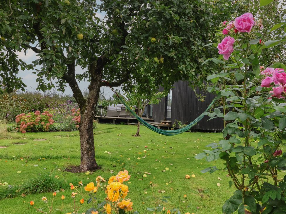 A garden with a hammock between trees at The Bothy in 