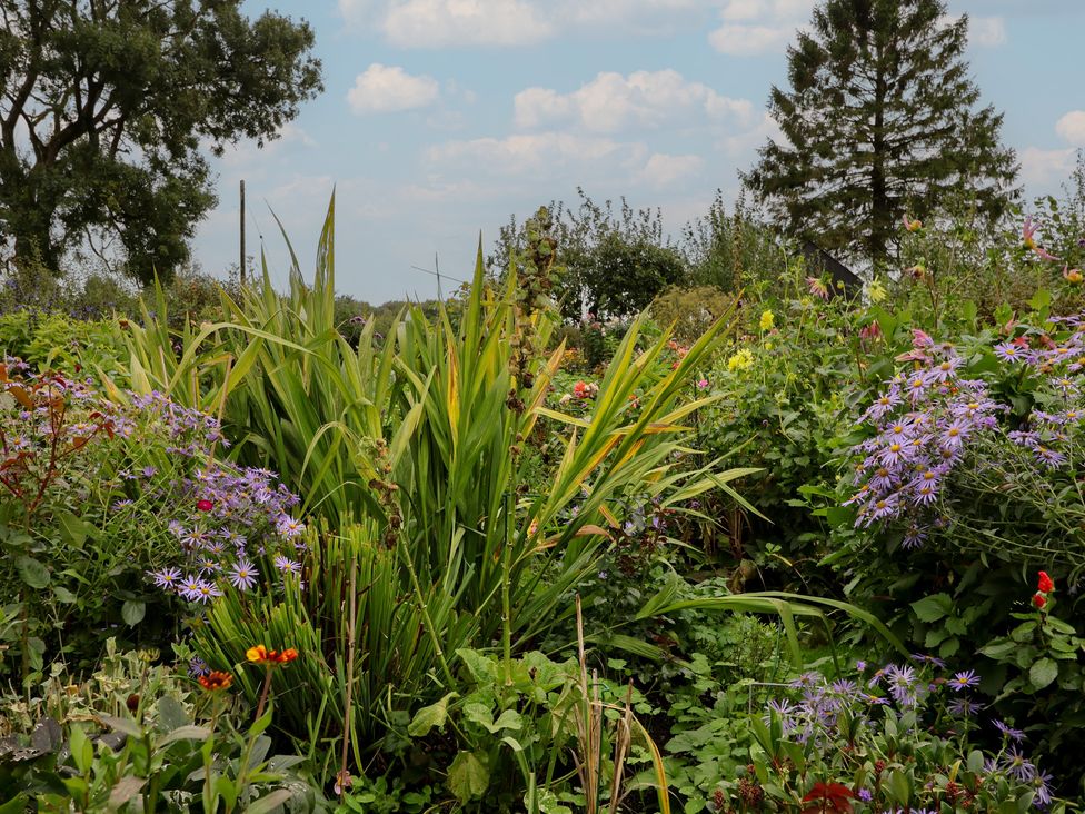 A garden filled with various plants and flowers at The Bothy