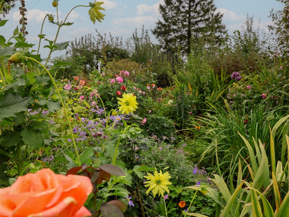 A garden with various flowers and plants at The Bothy in 