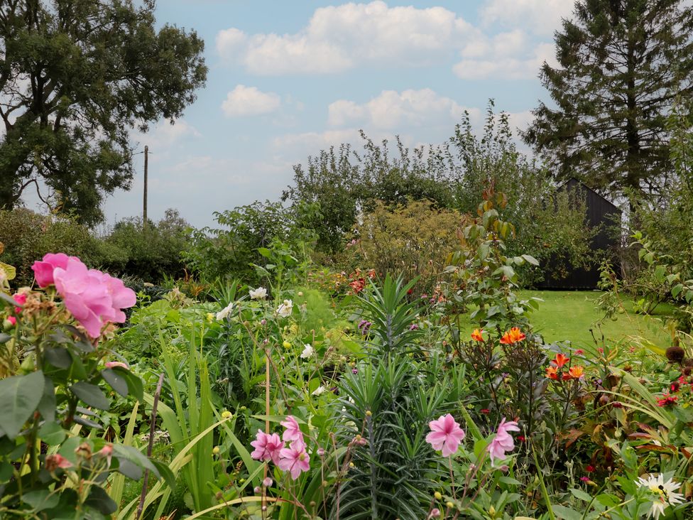 A garden with various flowers and a shed at The Bothy