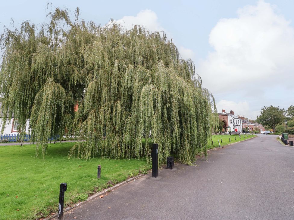 A willow tree near a sidewalk with street lamps and houses at Milford in Wetheral
