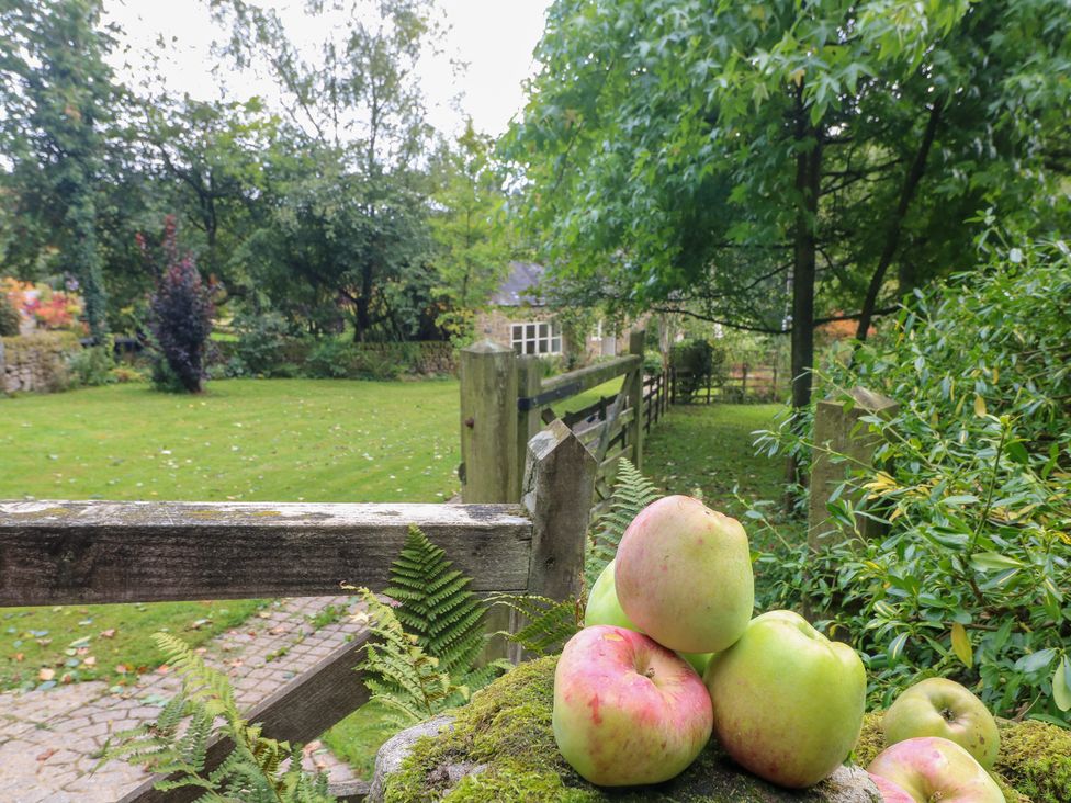 A garden with apples on a fence at Pigwig Cottage 