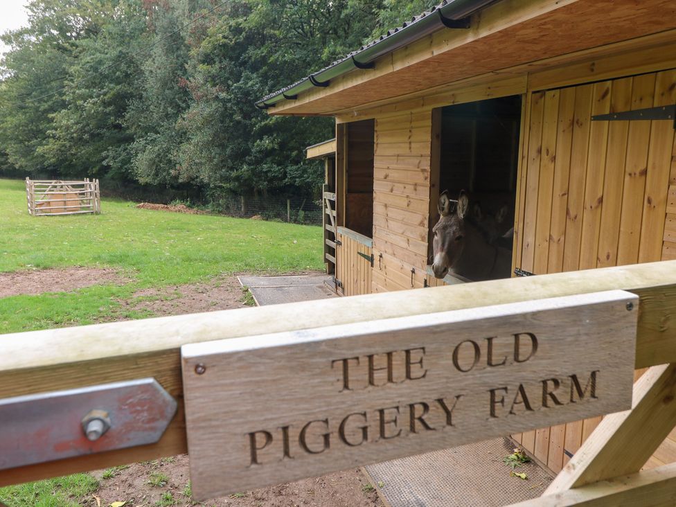 A stable area with a donkey and sign at The Old Piggery Farm