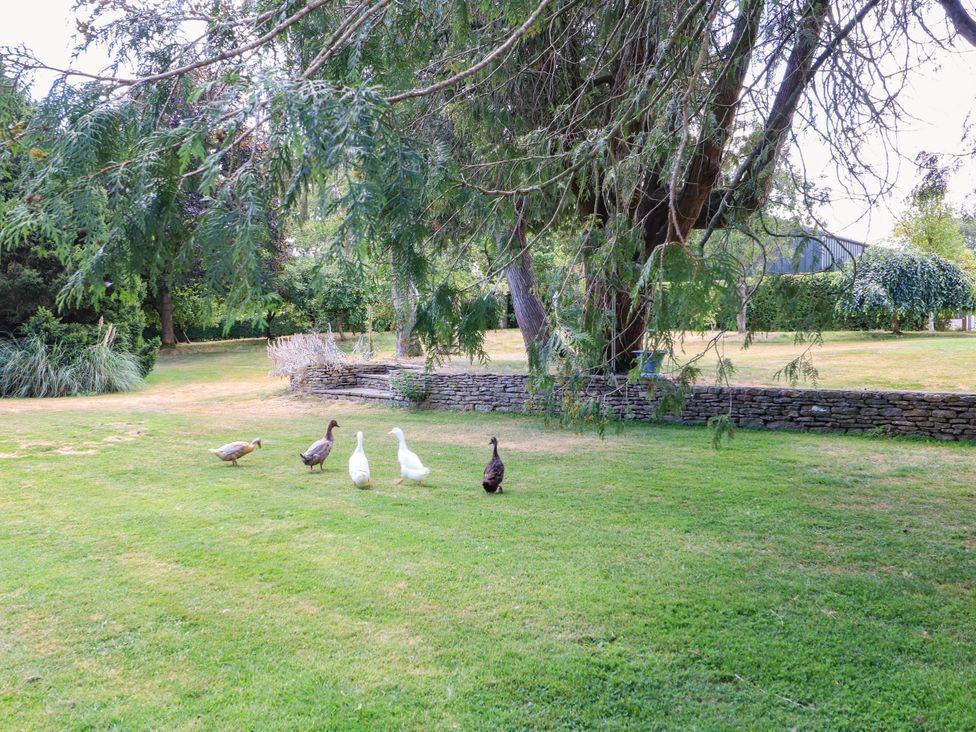 A garden with ducks walking on grass at The Mount in Chippenham