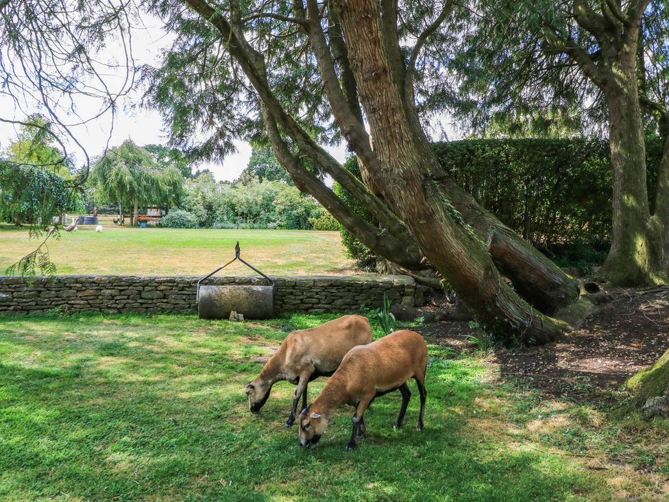 A garden with sheep grazing near a stone wall at The Mount in Chippenham