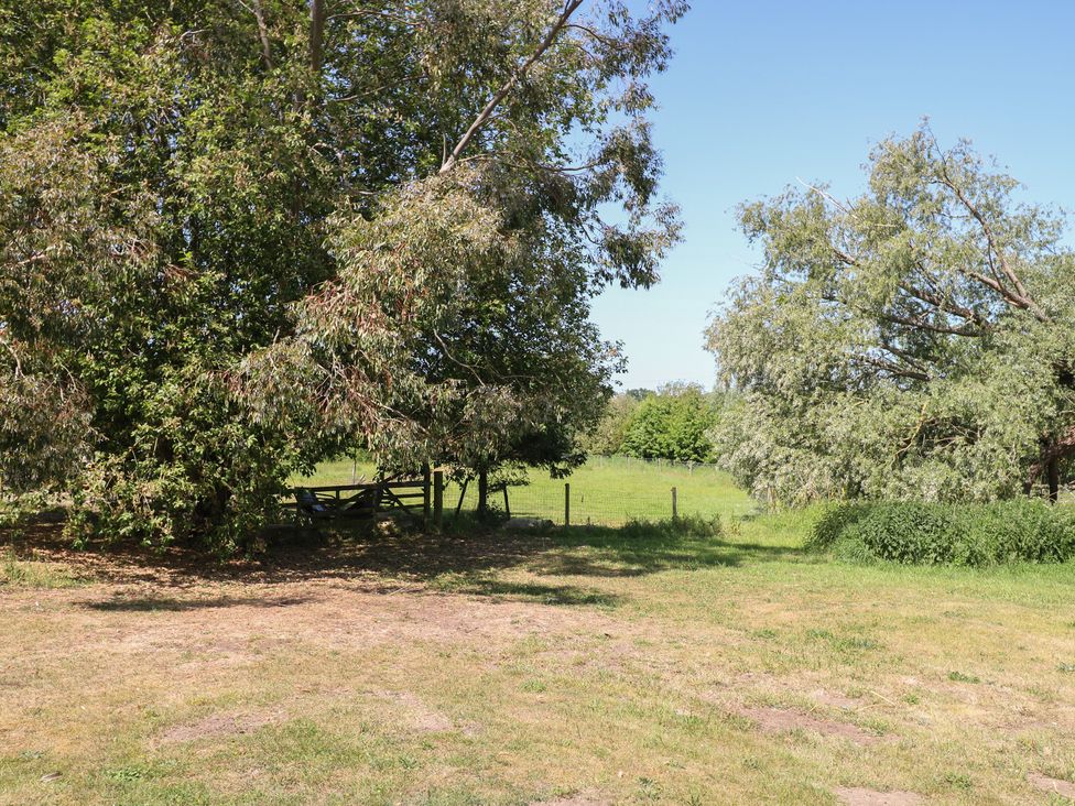 A grassy area with trees and a bench at The Bowtop Gypsy Caravan in Eye