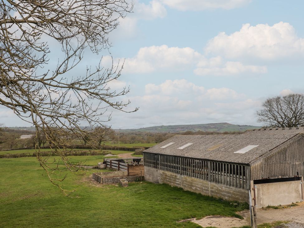 A barn surrounded by a field and trees at Court House Farmhouse in Charmouth