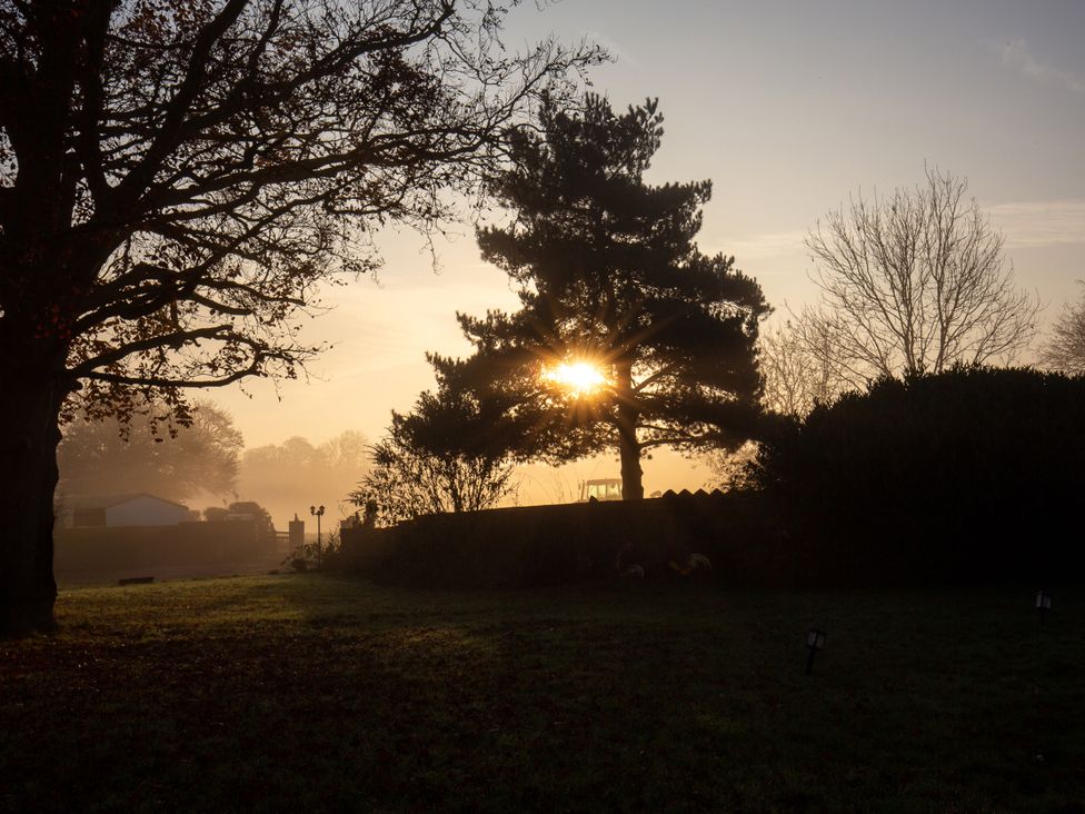 A tree with the sun rising behind it at Nature's Lodge in Kidderminster