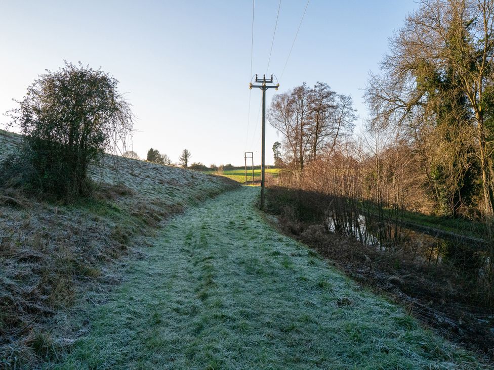 A path alongside trees and a power pole at Nature's Lodge in Kidderminster