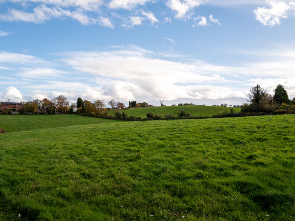 A green field with trees and buildings at Nature's Lodge in Cookley