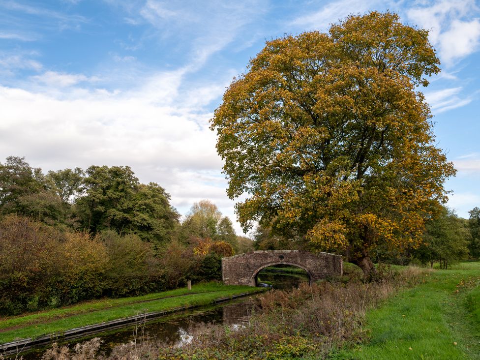 A tree beside a bridge over a canal at Nature's Lodge Cookley