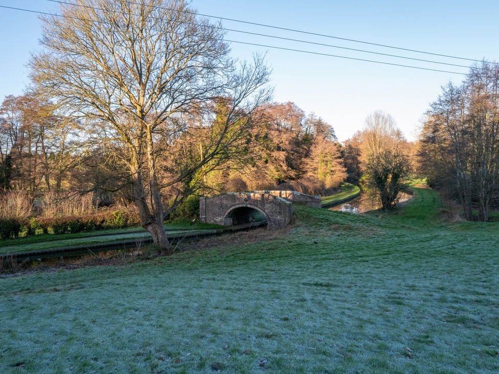 A bridge over water and trees in a grassy area at Nature's Lodge in Cookley