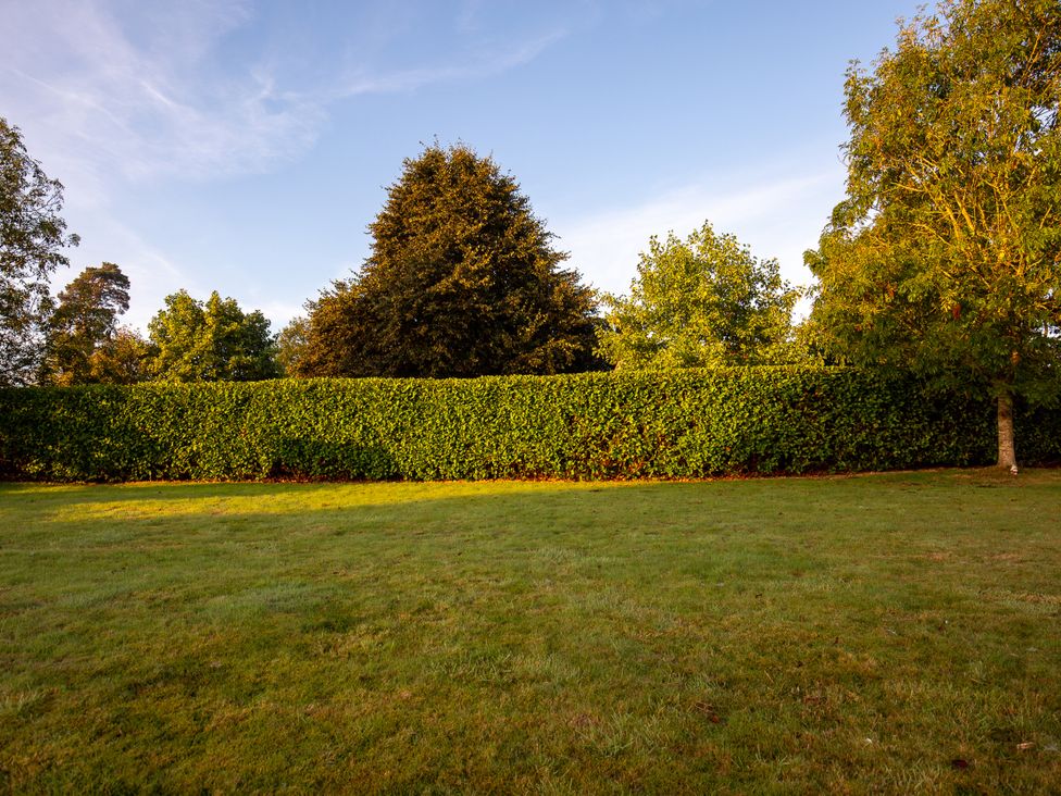 A garden with grass and trees at Nature's Lodge in Cookley