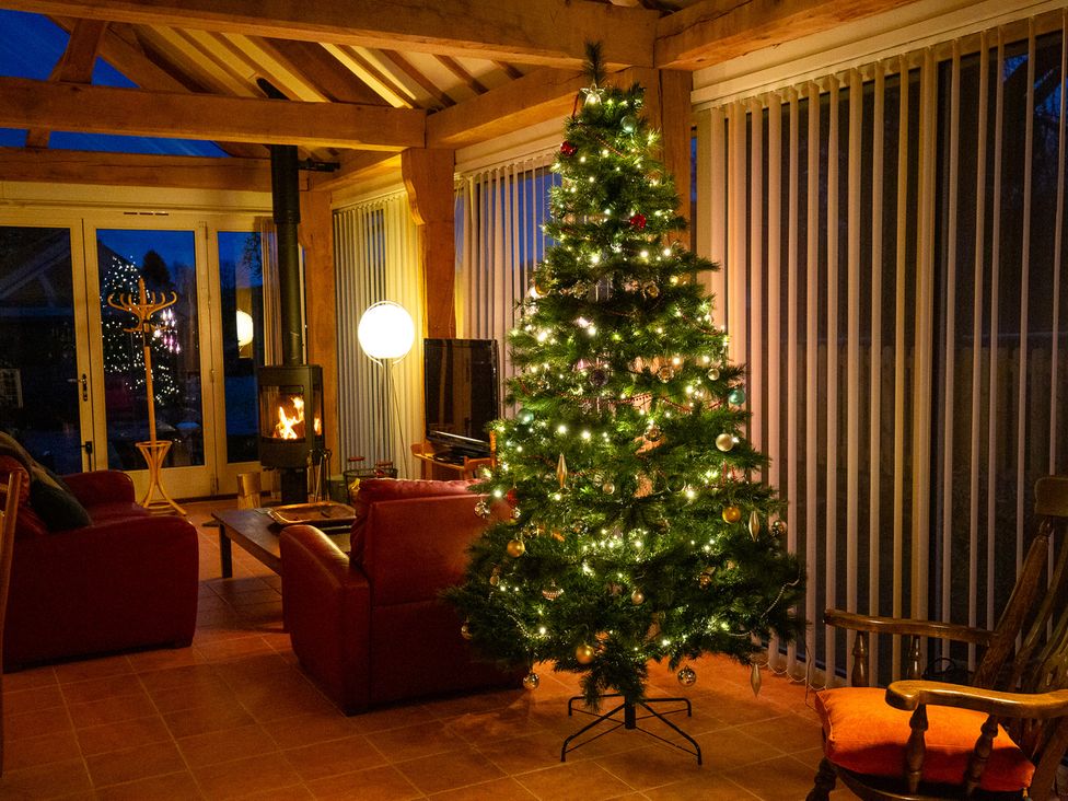 A living room with a Christmas tree and a wood stove at Nature's Lodge in Cookley