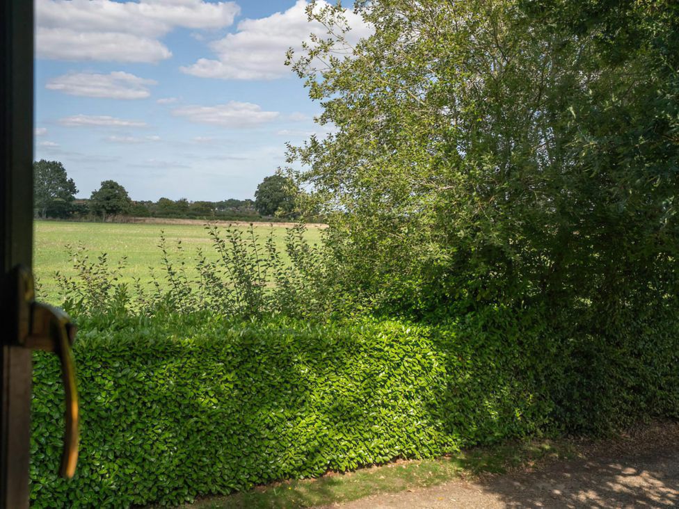 A field with trees and a hedge at Foxley Lodge in Norwich