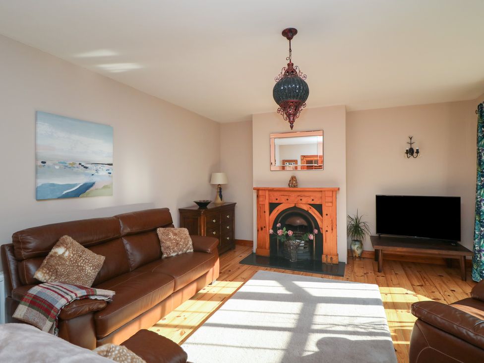 A living room with a sofa, fireplace and television at The Lodge Bolinahaney in Bunclody, County Wexford