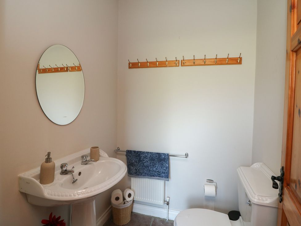 A bathroom with sink, toilet, mirror, and towel rack at The Lodge Bolinahaney, Bunclody, County Wexford