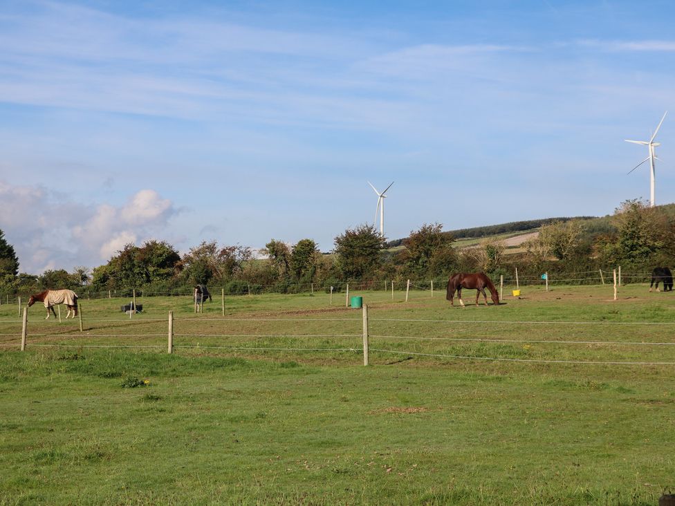 A field with horses grazing and wind turbines at The Lodge Bolinahaney Bunclody, County Wexford
