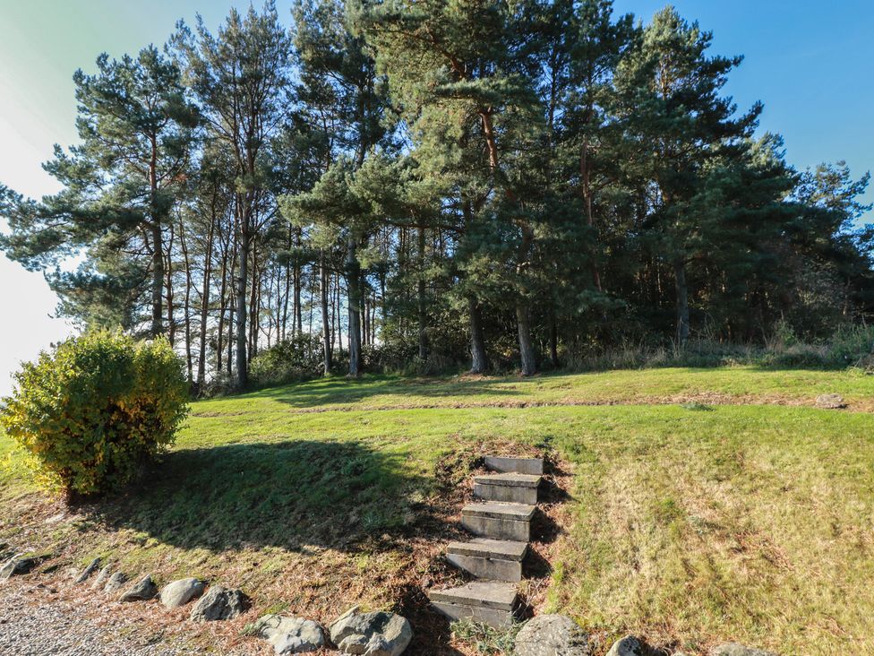 Outdoor area with steps leading to trees at Clayhills Cottage in Blairgowrie