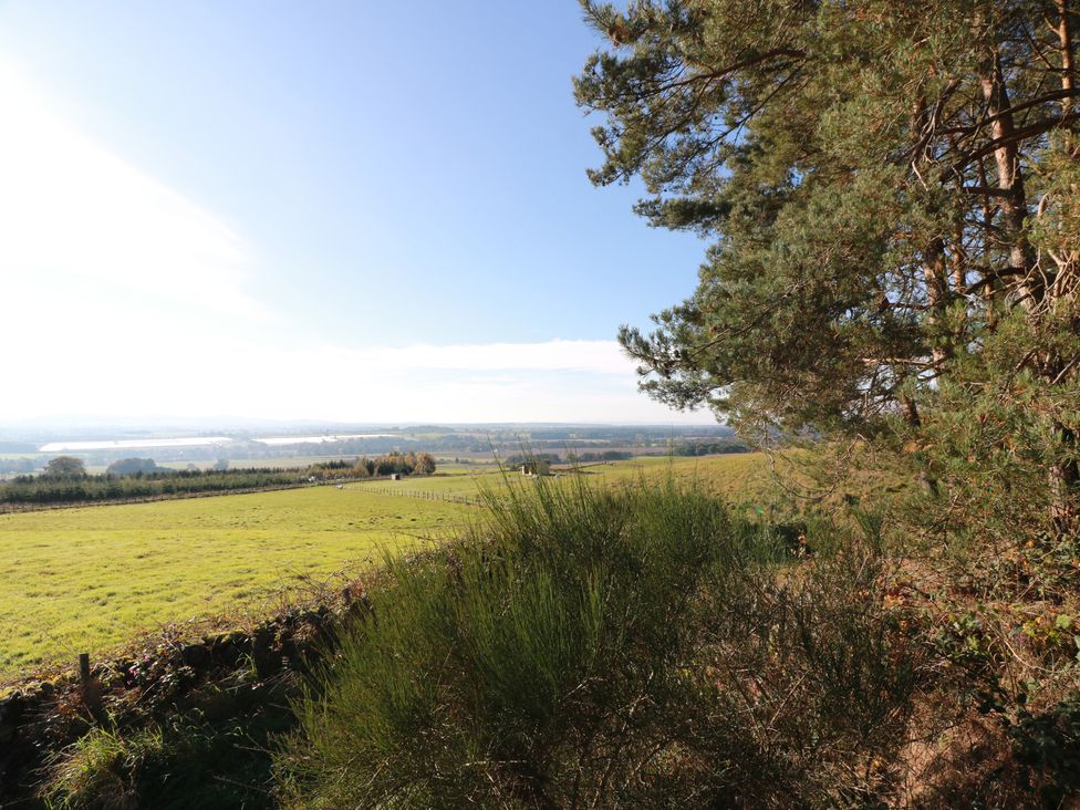 A landscape view with trees and open fields at Clayhills Cottage in Blairgowrie