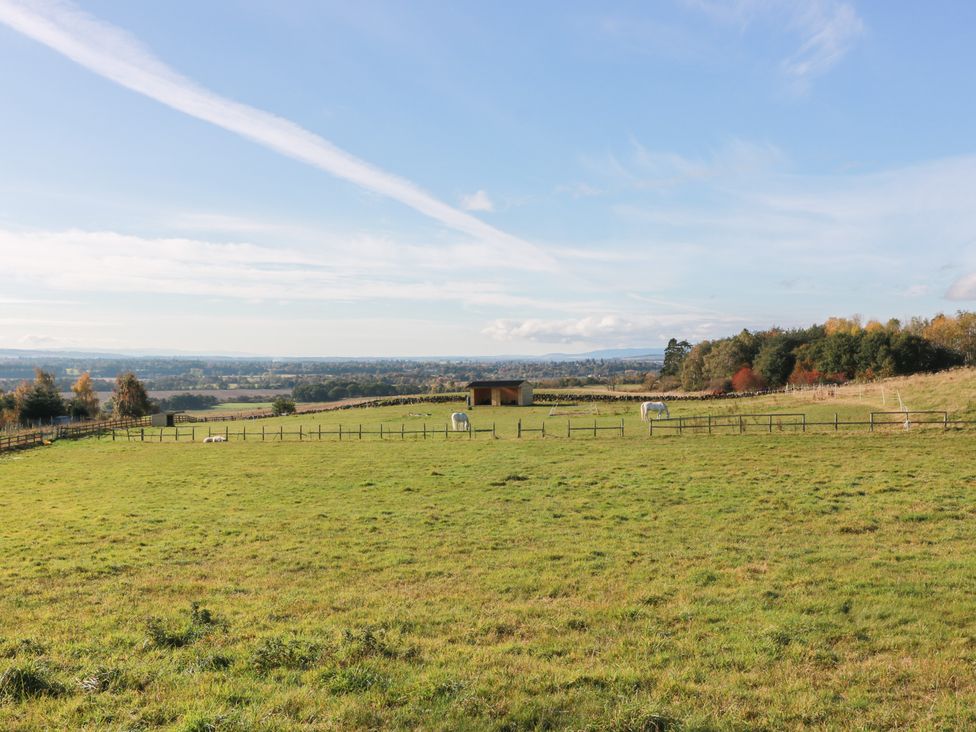 An outdoor view with horses and a shed on a grassland at Clayhills Cottage in Blairgowrie