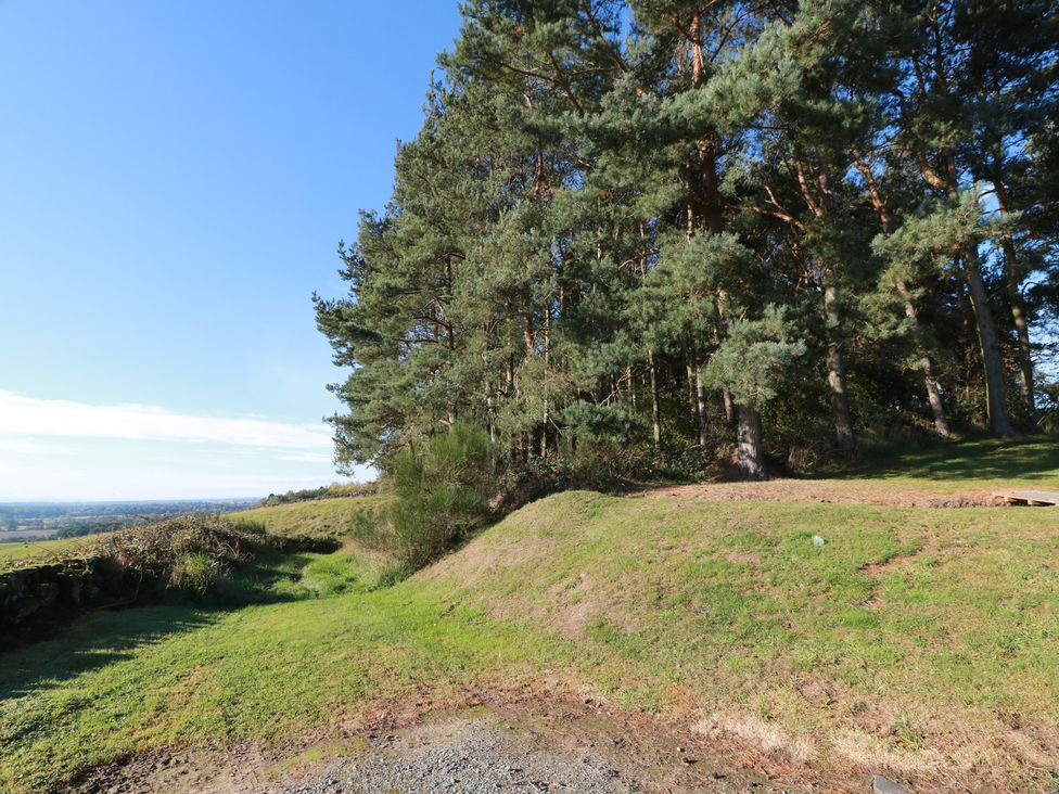 A landscape with trees and grass at Clayhills Cottage Blairgowrie