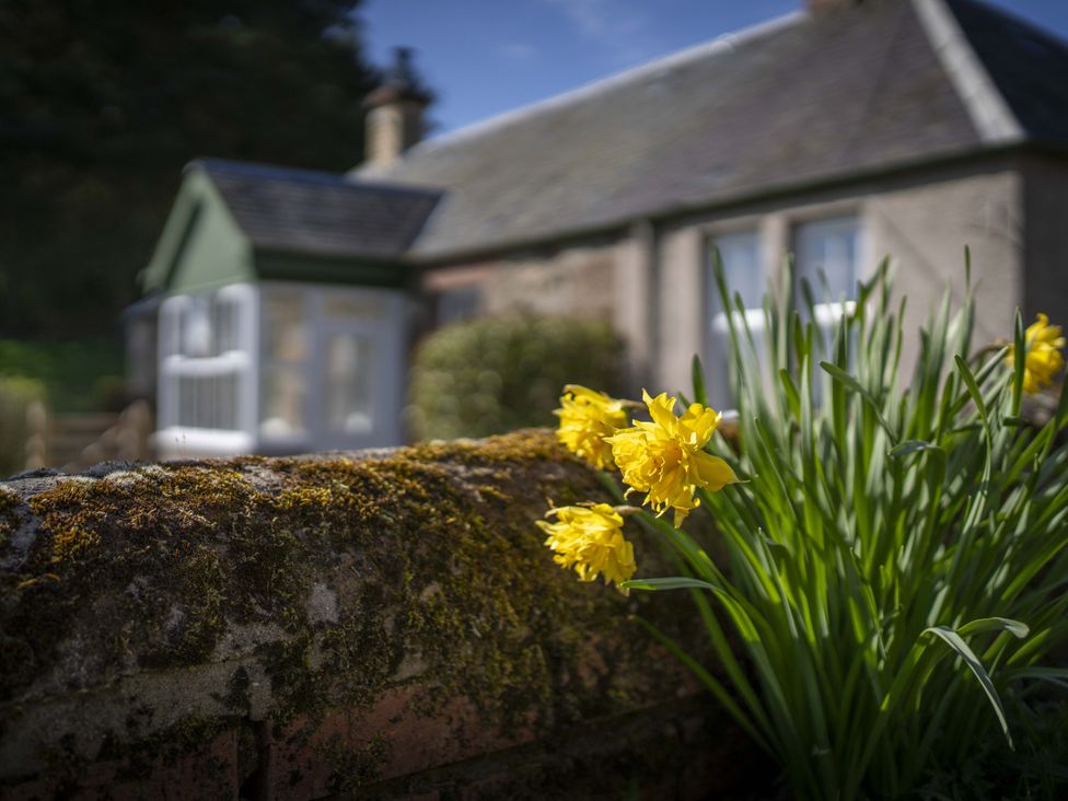 A garden with flowers in front of a house at Clayhills Cottage Blairgowrie
