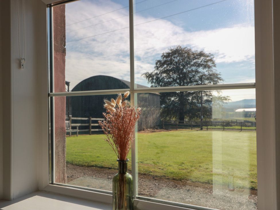 A window with dried flowers and a view of a barn at The Bothy in Blairgowrie