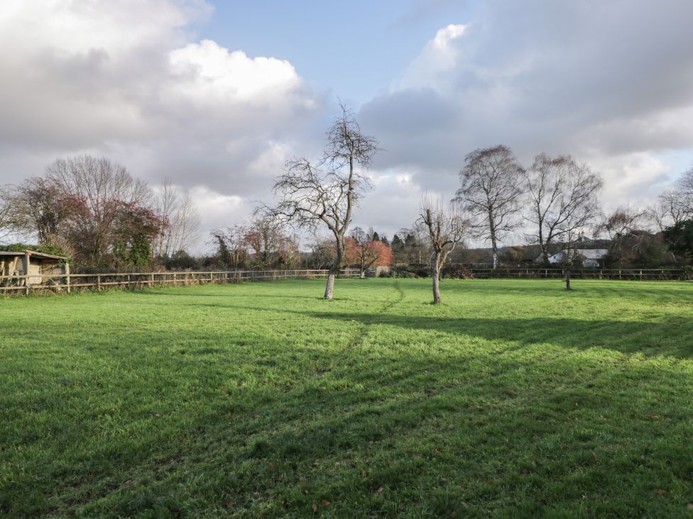 A field with trees and a shed at Maud Heath's Snug in Chippenham
