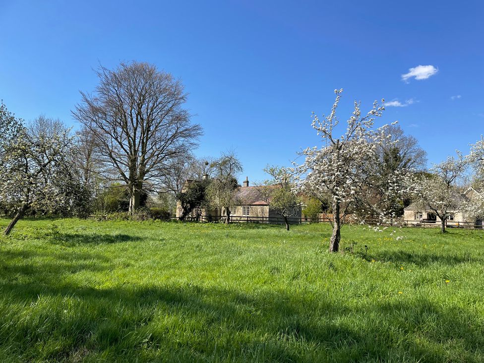 A field with flowering trees and a house at Maud Heath's Snug in East Tytherton near Chippenham