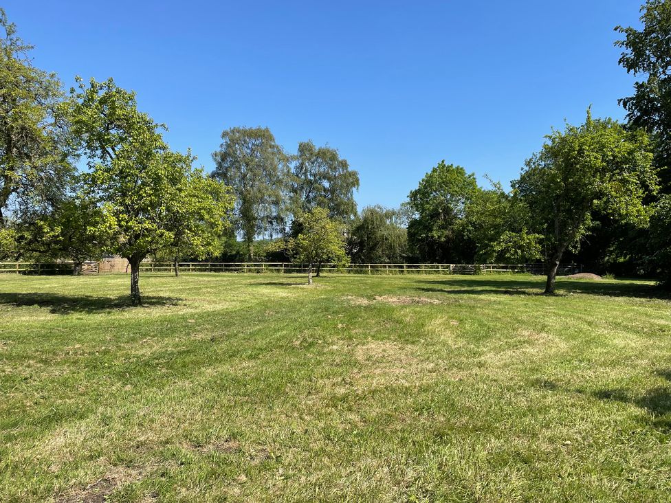 An outdoor area with trees and grass at Maud Heath's Snug East Tytherton near Chippenham
