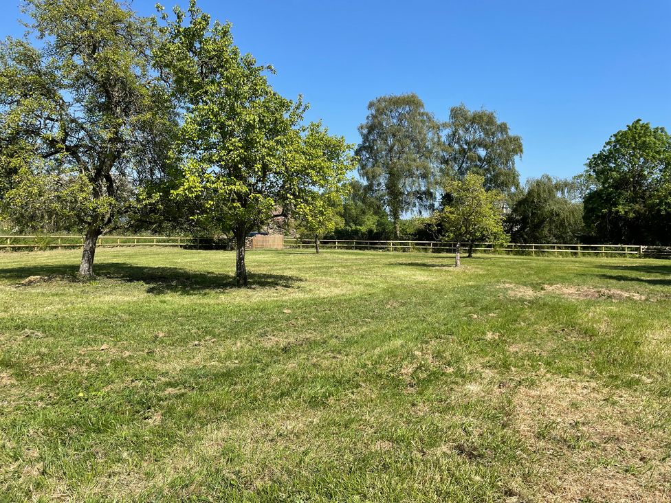 A field with trees and grass at Maud Heath's Snug East Tytherton near Chippenham