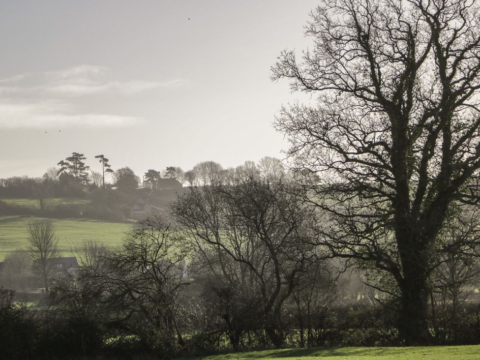 A landscape with trees and hills at Maud Heath's Snug in East Thytherton