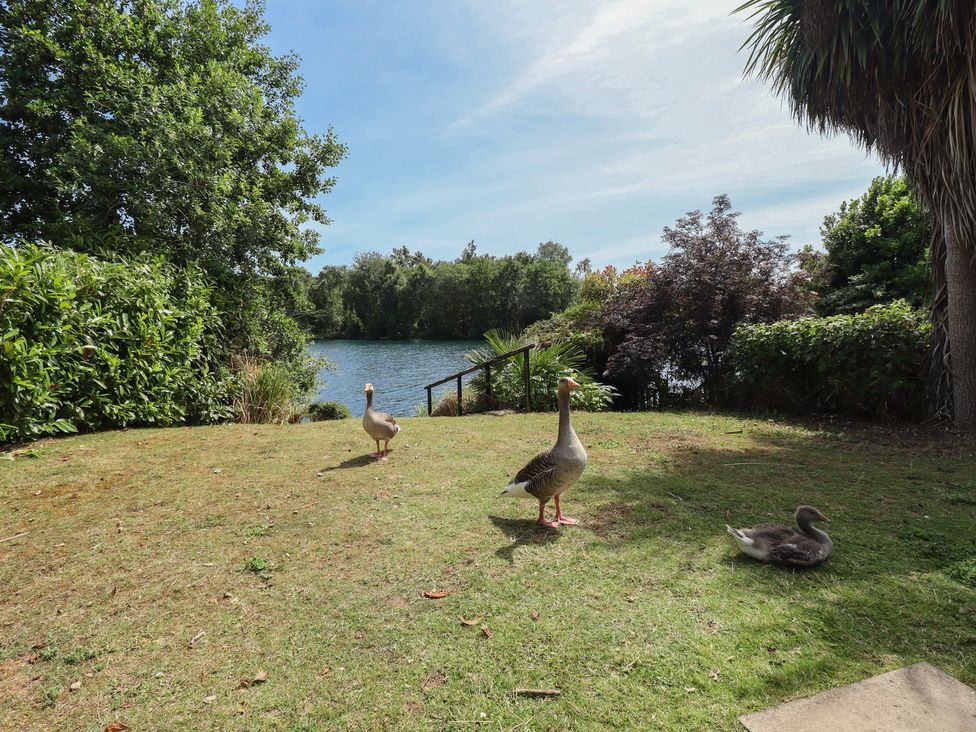 A backyard with a grass area, a lake, and ducks at Tattershall Lakes Country Park - Holiday Accommodation 16408 Tattershall