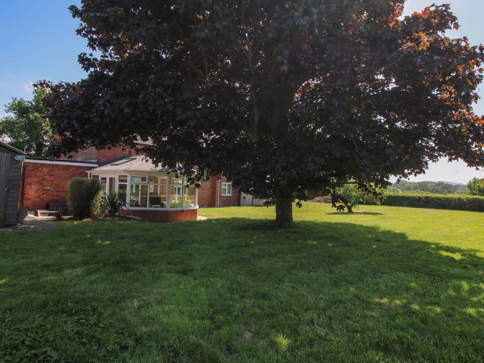 A garden with a large tree and a conservatory at Fron-Haul Near Llansantffraidd-Ym-Mechain