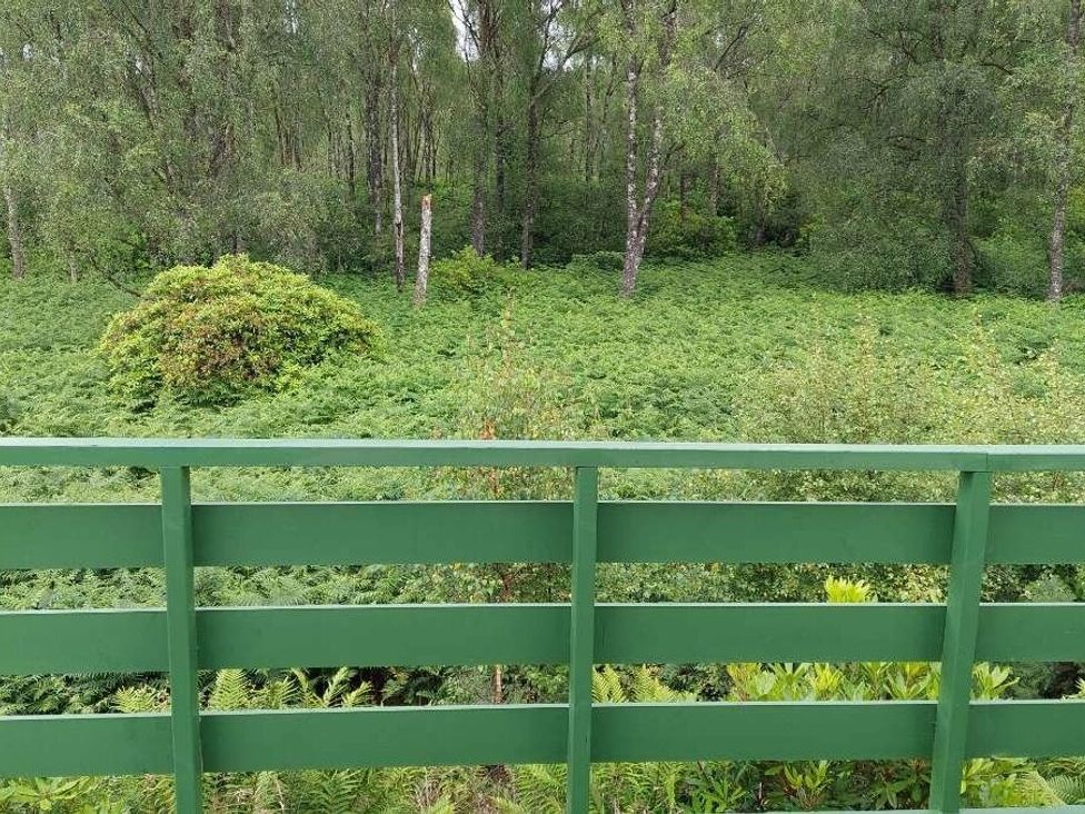 a view of lush greenery and ferns from a balcony railing at Hunters Quay Holiday Village - Holiday Accommodation 19798 in Dunoon