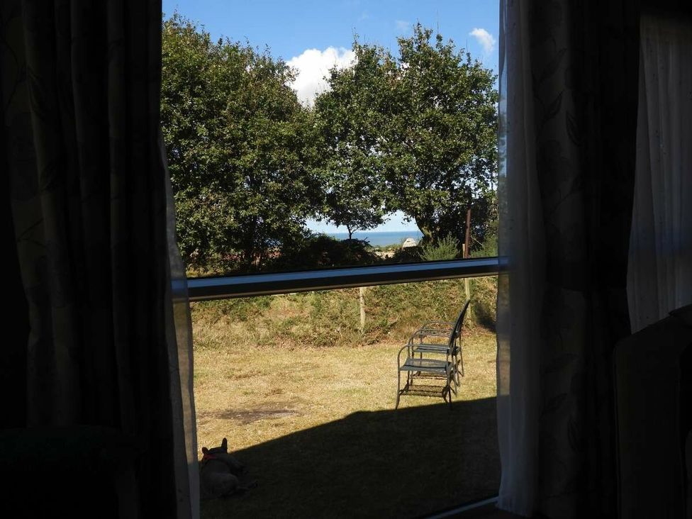 a view through a window showing trees and grass outside at Kelling Heath Holiday Park - Holiday Accommodation 20665 in Weybourne