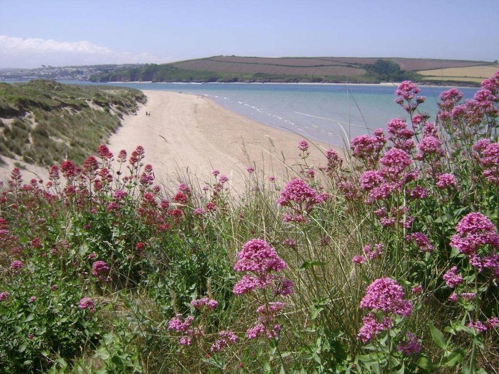 a beach with pink flowers in the foreground and a view of the shoreline at St Minver Holiday Park - Holiday Accommodation 21443, Wadebridge