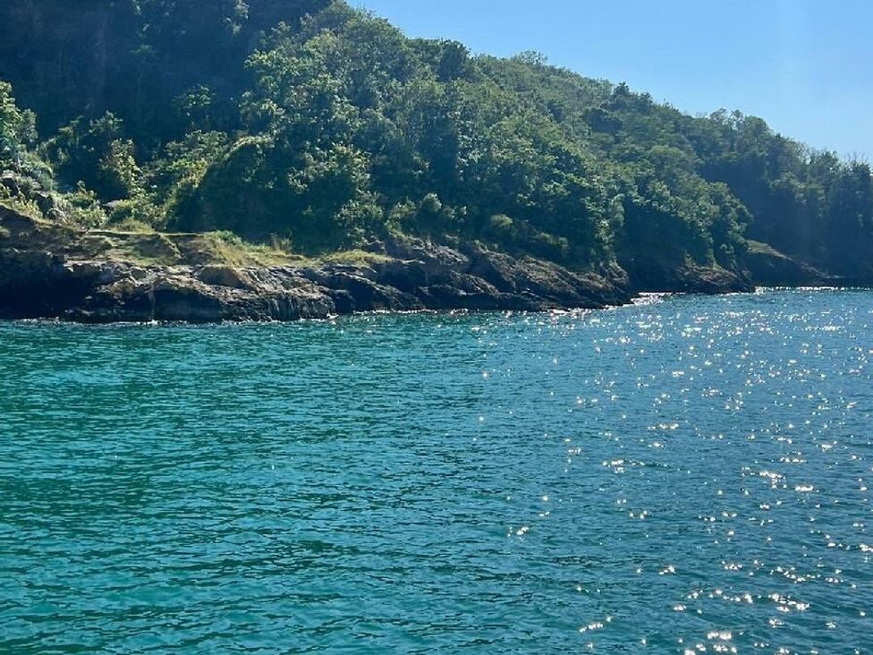 a shoreline with rocky outcrops and greenery at Hoburne Devon Bay - Holiday Accommodation 22090 in Paignton