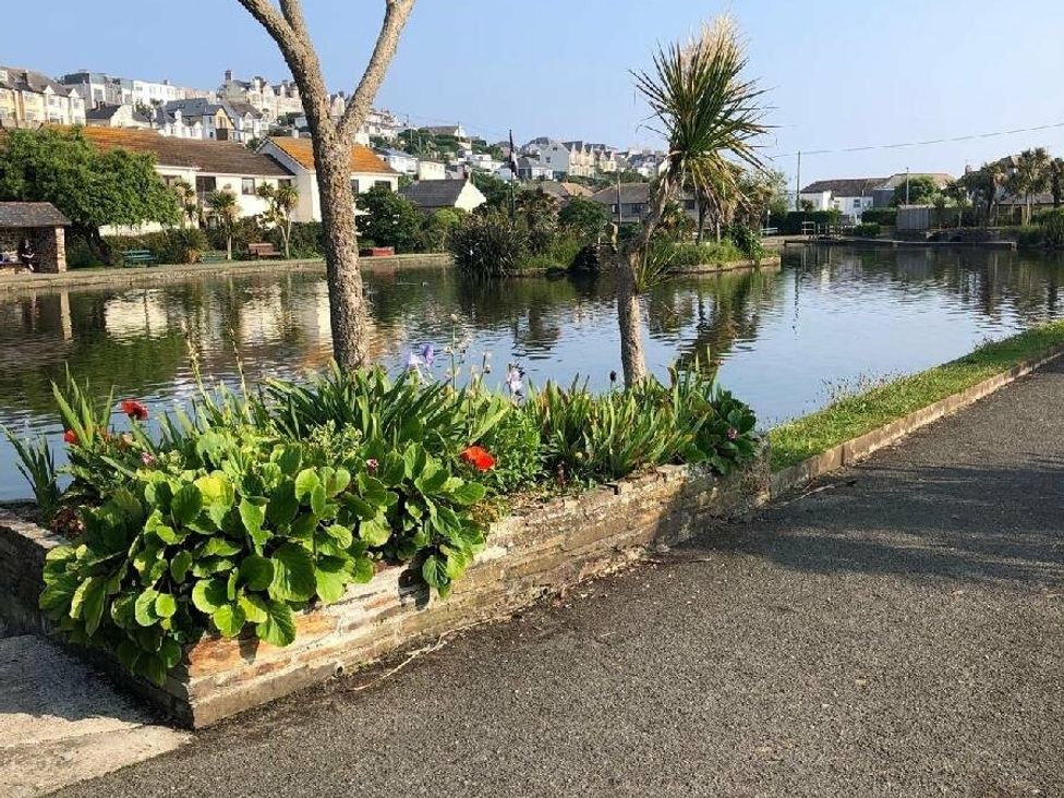 a pond with plants and trees alongside at Liskey Hill Caravan Park - Holiday Accommodation 3043, Perranporth