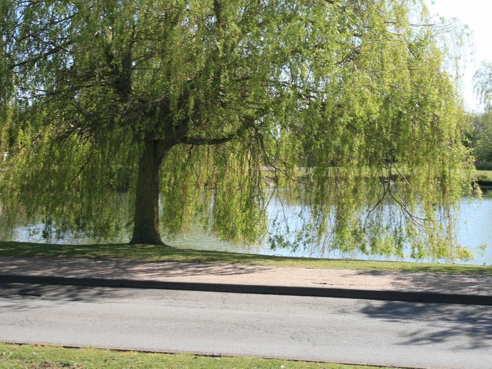 A tree near a pond at Southview Holiday Park 7251 Skegness