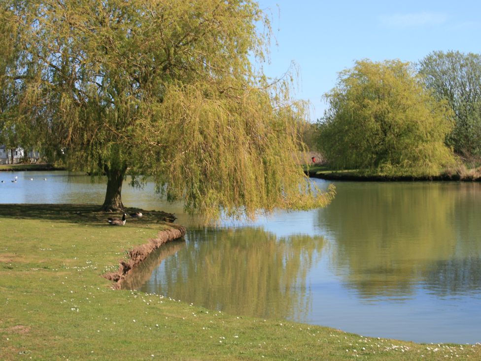 A tranquil pond with trees and ducks at Southview Holiday Park 7251 Skegness